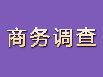 密山商务调查